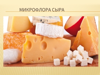 Микрофлора сыра