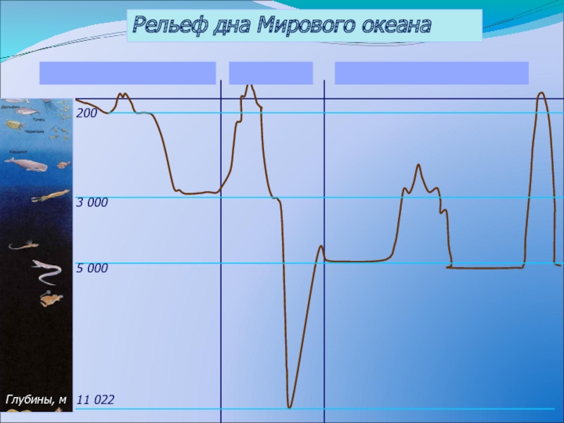 Дополните на схеме рельефа дна мирового океана буква а обозначает