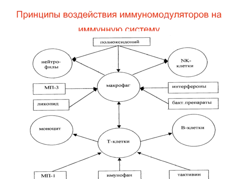 Принцип воздействия