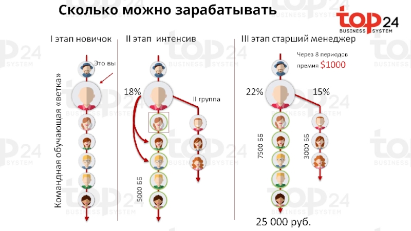 Новенький сколько. Стадии от новичка до гуру.