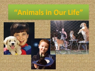 “Animals in Our Life”