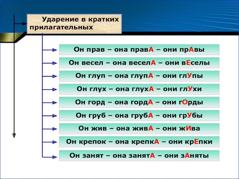 Ударение в слове картина