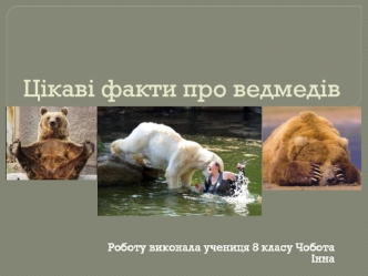 Цікаві факти про ведмедів