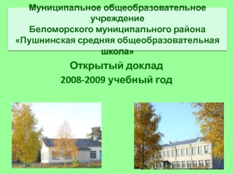 Открытый доклад
2008-2009 учебный год