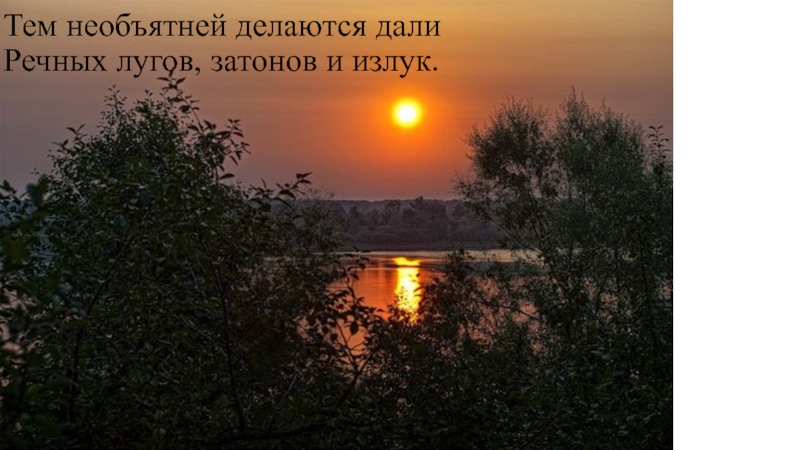 Стих ока. Николай Заболоцкий вечер на Оке. Вечер на Оке. Стихотворение вечер на Оке. Речных лугов затонов и излук.