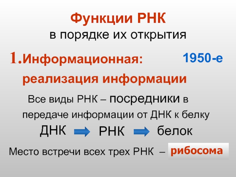 5 видов рнк. Функции РНК. Перечислите функции РНК. 3 Вида РНК. Функции информационной РНК.