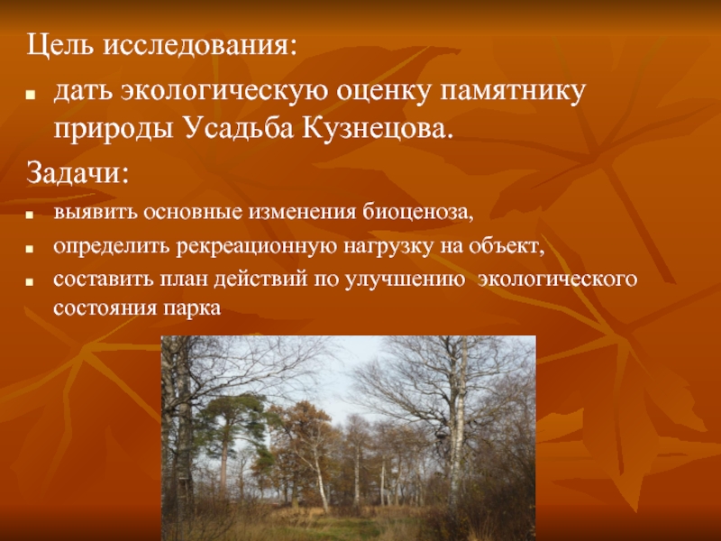 Оценка природы. Задачи памятников природы. Основные задачи памятников природы. Памятники природы цели и задачи. Улучшение экологического состояния парка.