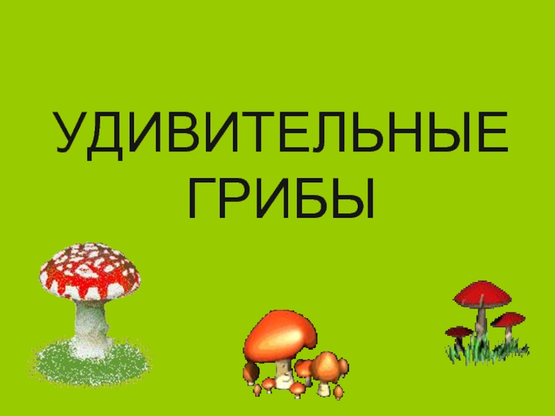 Презентация грибы. Удивительный мир грибов презентация. Удивительные грибы презентация. Интересное о грибах для детей. Презентация эти удивительные грибы.