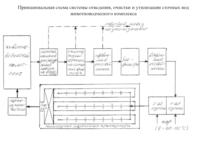 Схема комплексов. Схема очистка сточных вод хлебопекарной. Схемы очистки животноводческих сточных вод. Очистка сточных вод в животноводстве. Принципиальная схема сбора удаления и переработки.