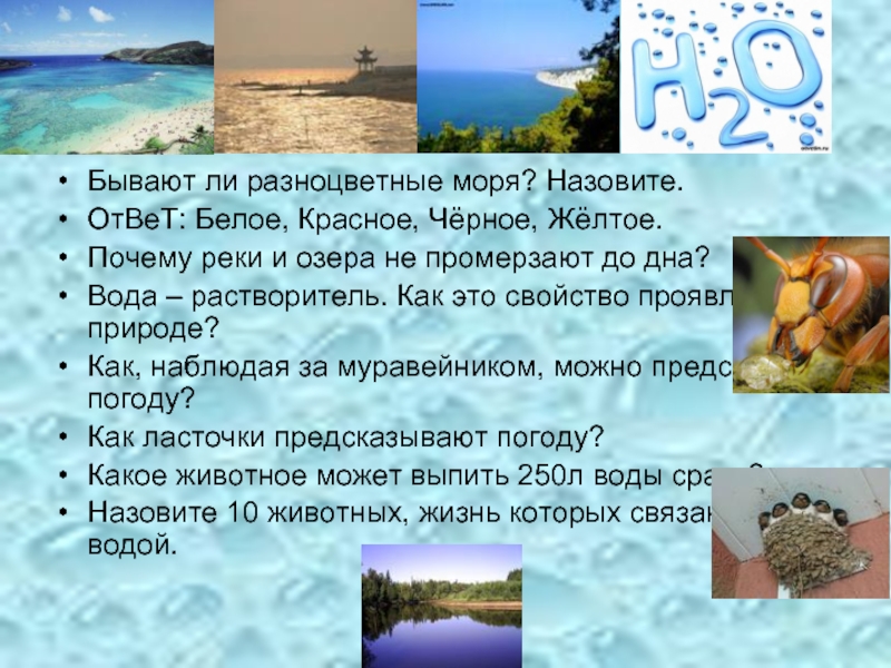 Почему желтое море получило такое название. Назовите цветные моря. Цветные названия морей. Сообщение о разноцветных морях. Почему море назвали желтым.