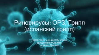 Риновирусы: ОРЗ, Грипп (испанский грипп)