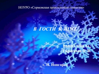 В  ГОСТИ  К ЗИМЕ


ВЫПОЛНИЛА: Гарцунова Н. В.


г. Н. Новгород