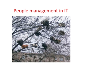 People management in IT