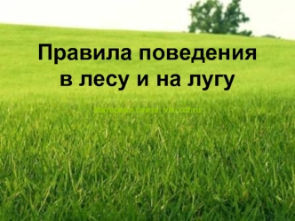Правила поведения в лесу и на лугуМатериал сайта: viki.rdf.ru
