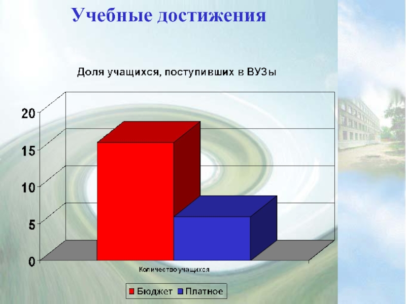 Бюджет учащегося. Учебные достижения.