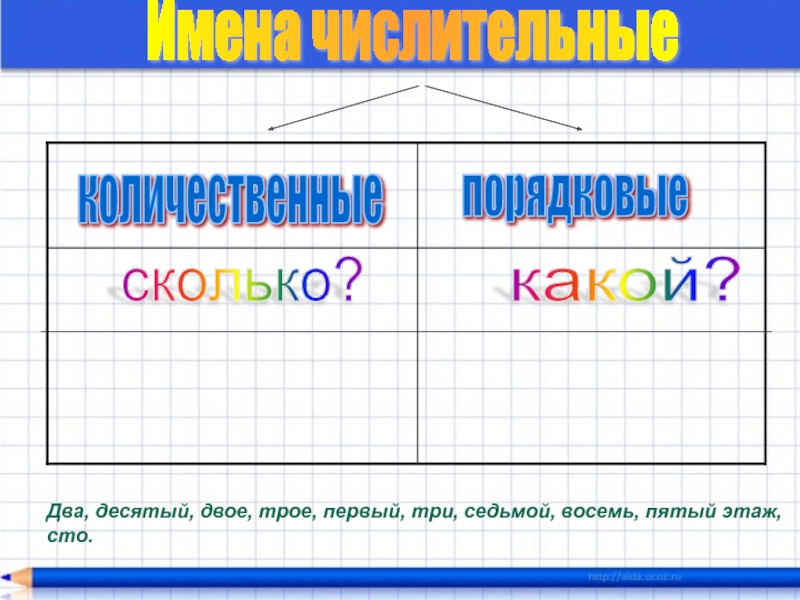 Сто числительное. Два на два сколько будет. Сколько двое трое. Первым трём или первым троим. Было два сколько.