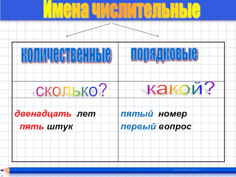 Сколько какие есть