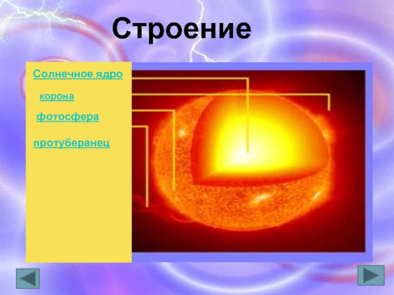 Строение Солнечное ядрофотосферапротуберанецкорона