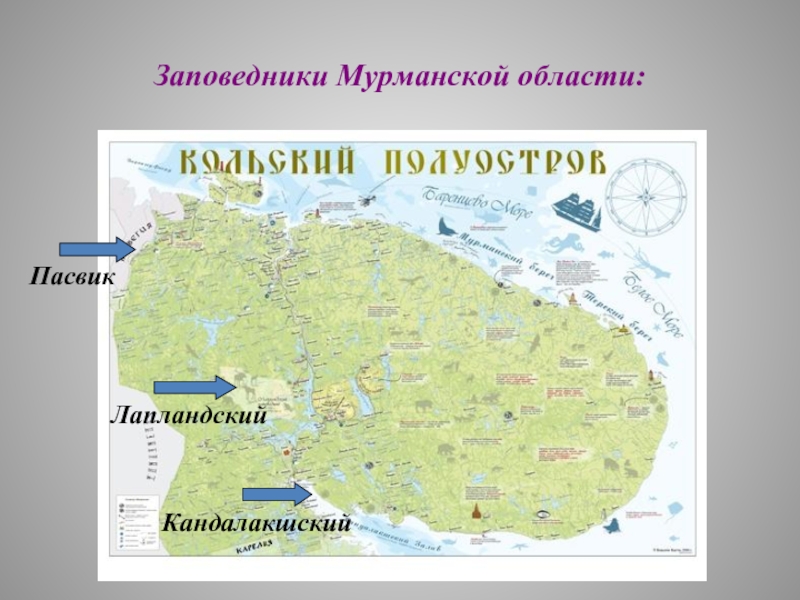 Природная зона мурманска. Лапландский заповедник Мурманская область на карте. Заповедники Кольского полуострова. Лапландский заповедник Кольский полуостров. 3 Заповедника Мурманской области.