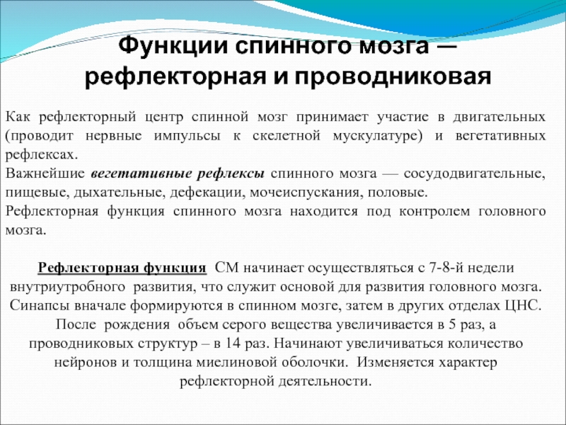 Функции спинного. Рефлекторная и проводниковая функции. Рефлекторная и проводниковая функции спинного мозга. Интегративная функция спинного мозга. Интегративные функции спинного мозга.