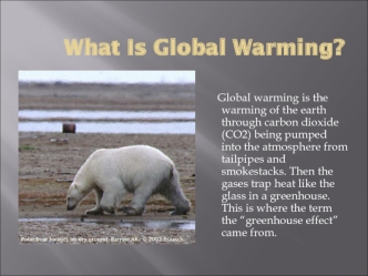 What Is Global Warming?