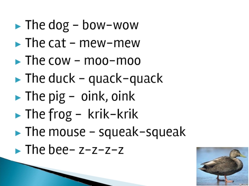 The dog - bow-wow The cat - mew-mew The cow - moo-moo