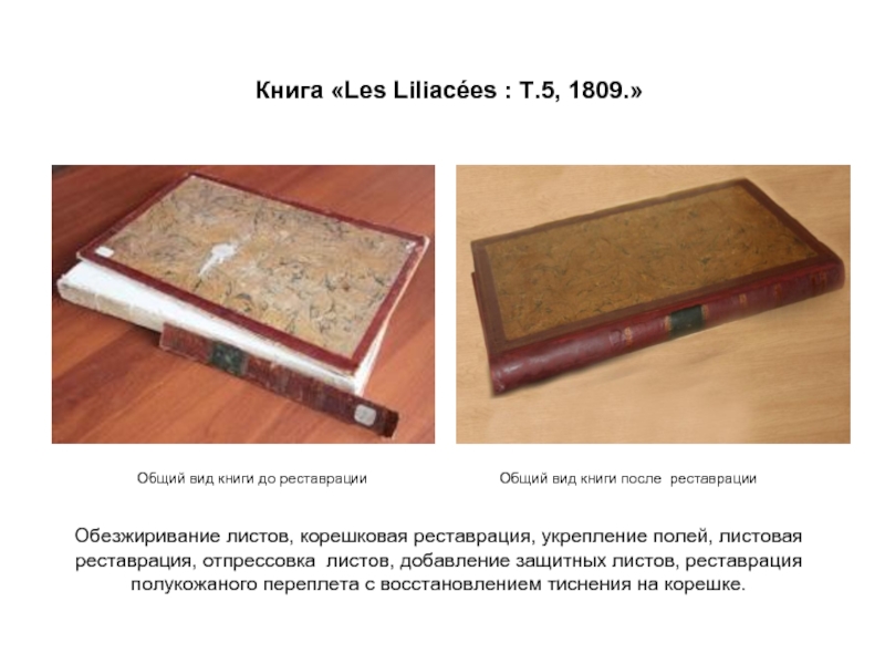 Книга «Les Liliacées : Т.5, 1809.» Обезжиривание листов, корешковая реставрация, укрепление полей,
