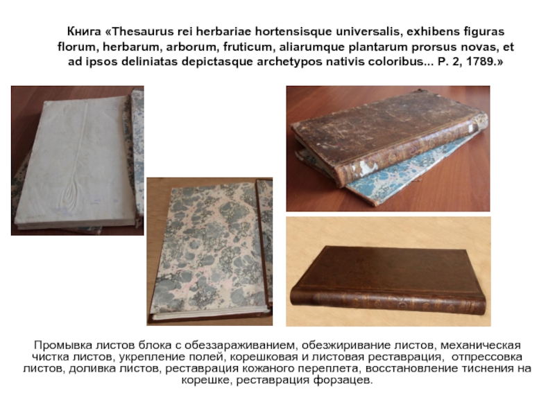 Книга «Thesaurus rei herbariae hortensisque universalis, exhibens figuras florum, herbarum, arborum, fruticum,