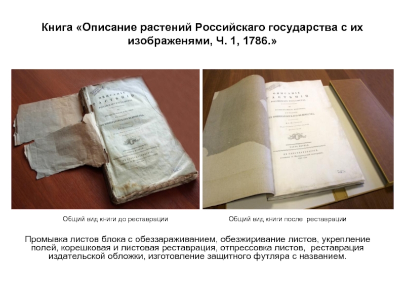 Книга «Описание растений Российскаго государства с их изображенями, Ч. 1, 1786.» Промывка