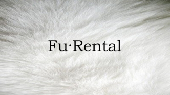 Компания “Fu·Rental”