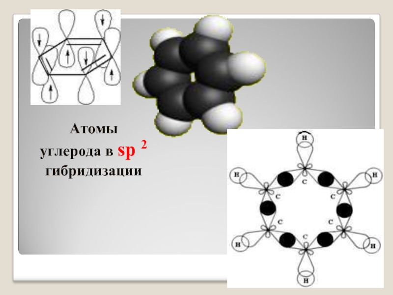 Стирол гибридизация атома. Sp2 гибридизация в бензоле. Атомы углерода в сп2 гибридизации. Молекула бензола гибридизация sp2. Sp2 гибридизация углерода.