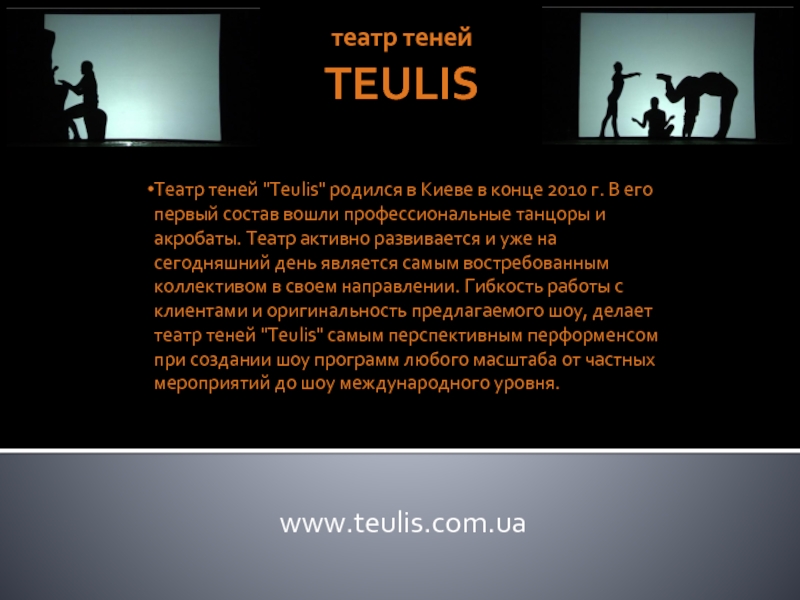 театр теней  TEULIS www.teulis.com.uaТеатр теней 