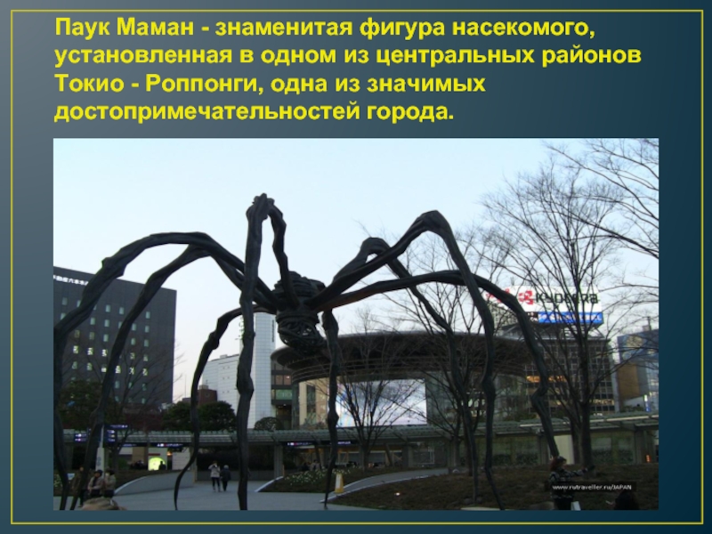 Паук Маман - знаменитая фигура насекомого, установленная в одном из центральных