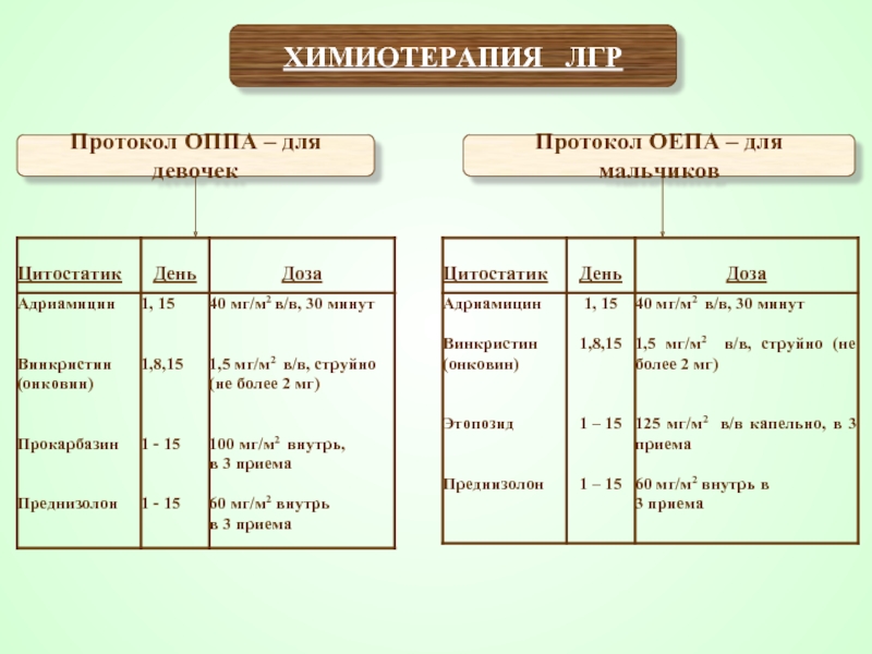 Пхт по схеме вер