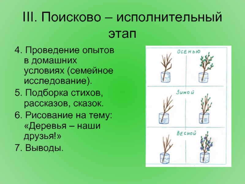 Проект деревья наши друзья