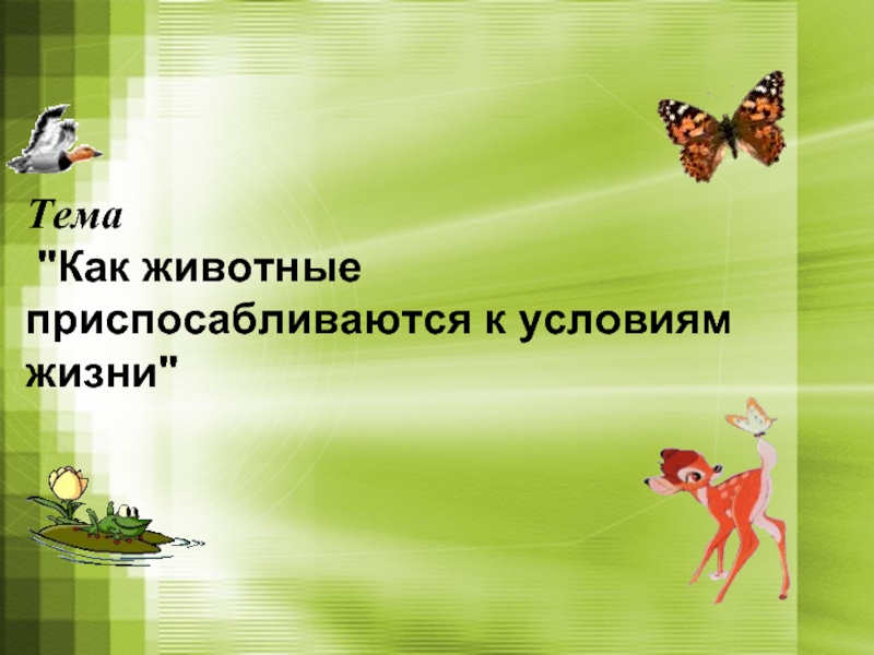 Животные 3 класс 21 век. Как животные приспосабливаются к условиям жизни. Как животные приспосабливаются к условиям жизни 3 класс. Как животные приспосабливаются к условиям окружающей среды. Урок по теме как животные приспосабливаются к условиям жизни.