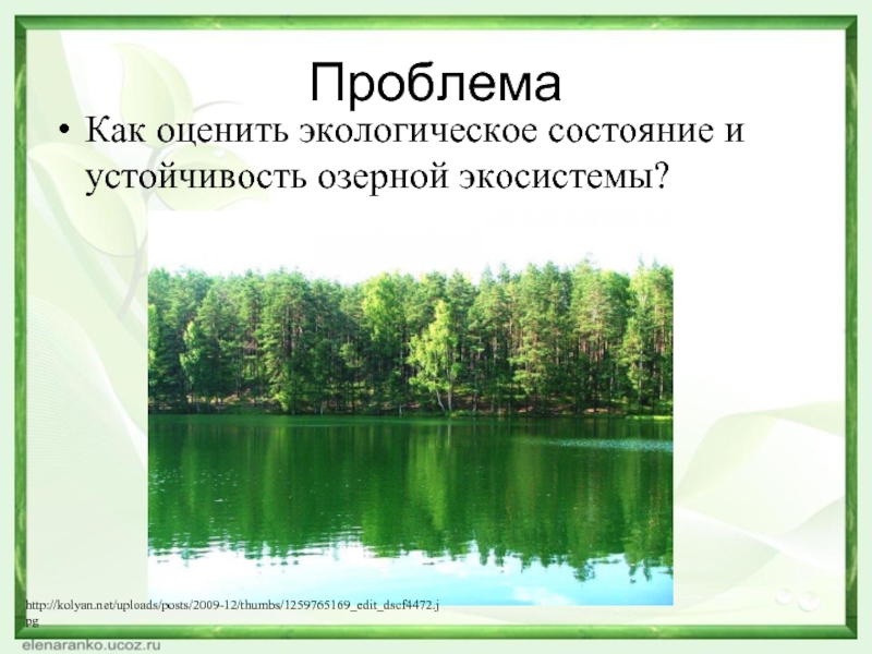 Проблема Как оценить экологическое состояние и устойчивость озерной экосистемы?http://kolyan.net/uploads/posts/2009-12/thumbs/1259765169_edit_dscf4472.jpg