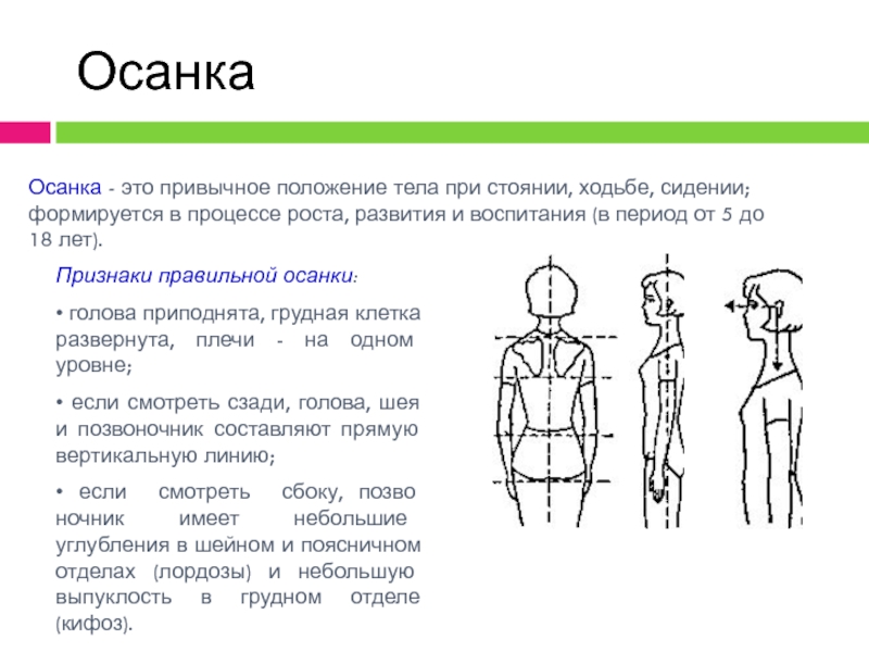 Для каждого положения тела на рисунке 70 покажите плечо