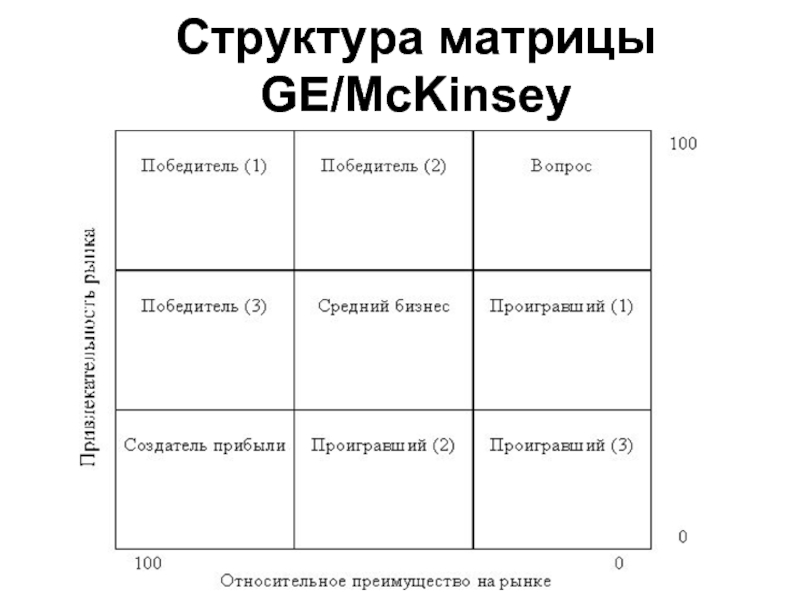 Структура матрицы GE/McKinsey