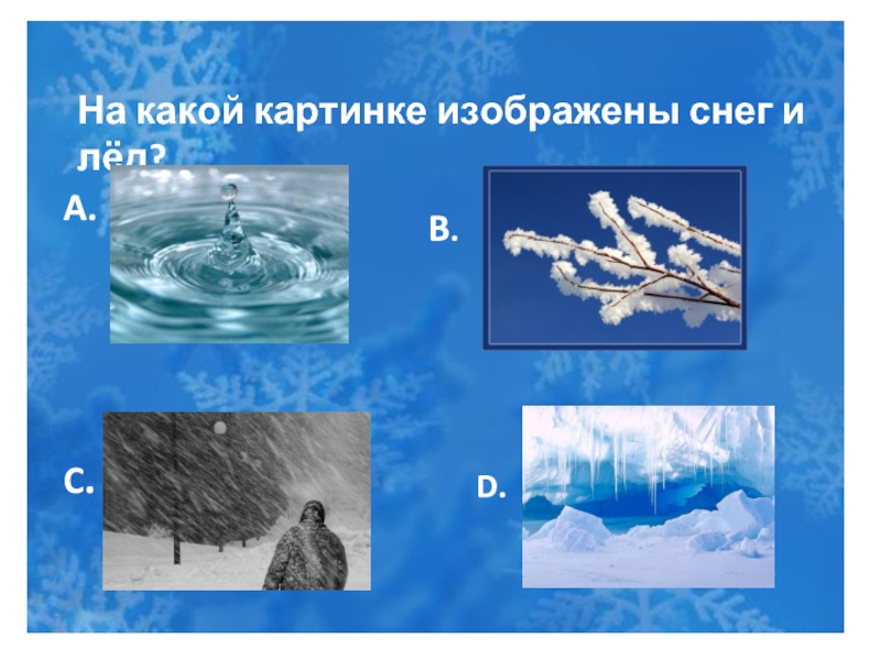 На какой картинке изображены снег и лёд? A. B. C. D.