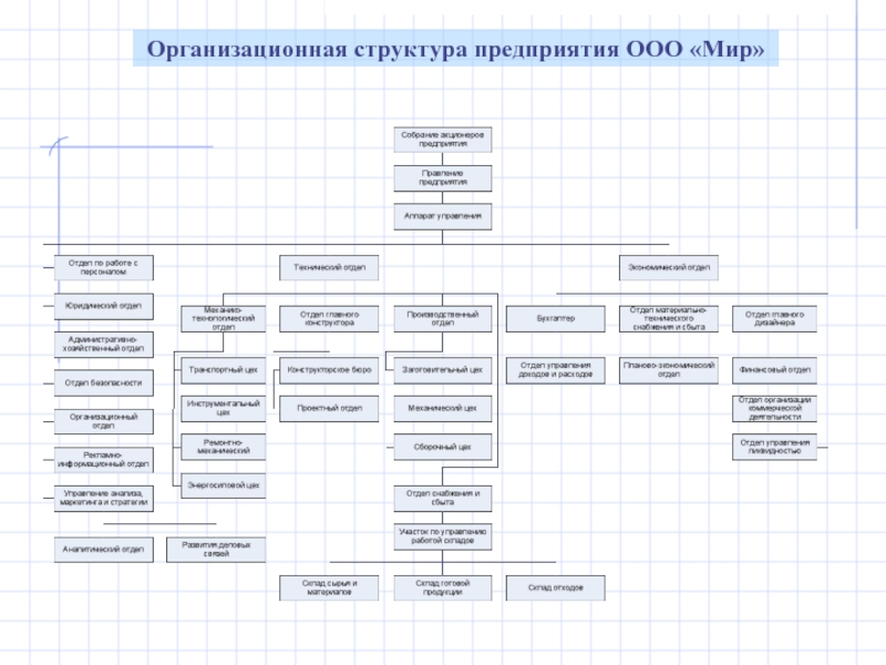 Организационная структура предприятия ООО «Мир» 