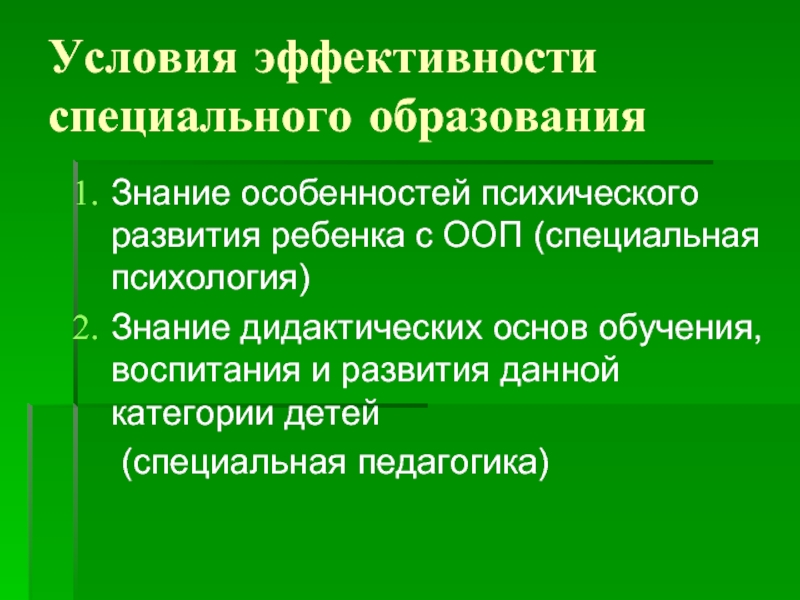 Основы дидактики специальной педагогики презентация