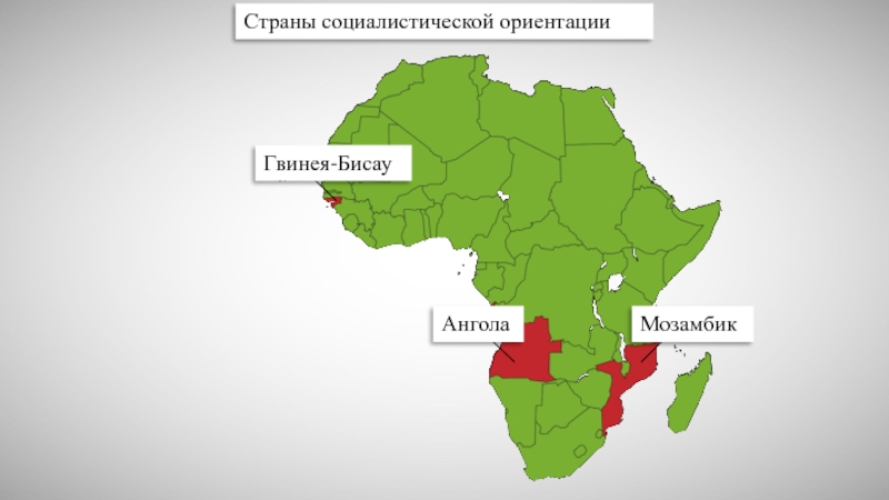 Страны социалистической ориентации. Африканские страны социалистической ориентации. Социалистические страны Африки. Африканские страны соцлагеря.