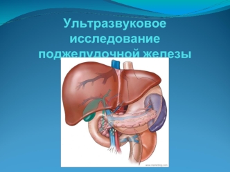 Ультразвуковое исследование поджелудочной железы