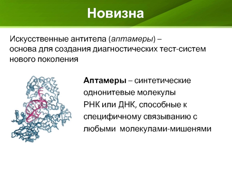 Препарат содержащий готовые антитела. Искусственные антитела – аптамеры. Аптамеры с РНК. ДНК-аптамеры. Синтетические антитела.