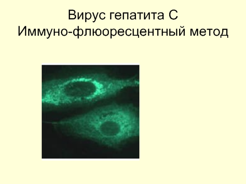 Возбудителями вирусных гепатитов являются. Вирус гепатита g.