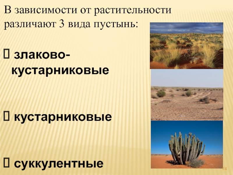 В зависимости от растительности  различают 3 вида пустынь:  злаково-кустарниковые