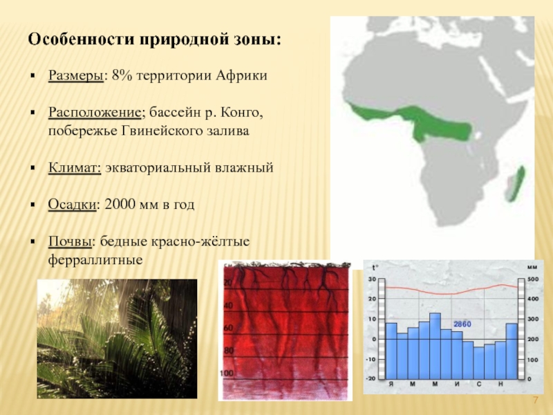 Особенности природной зоны:  Размеры: 8% территории Африки  Расположение; бассейн р.
