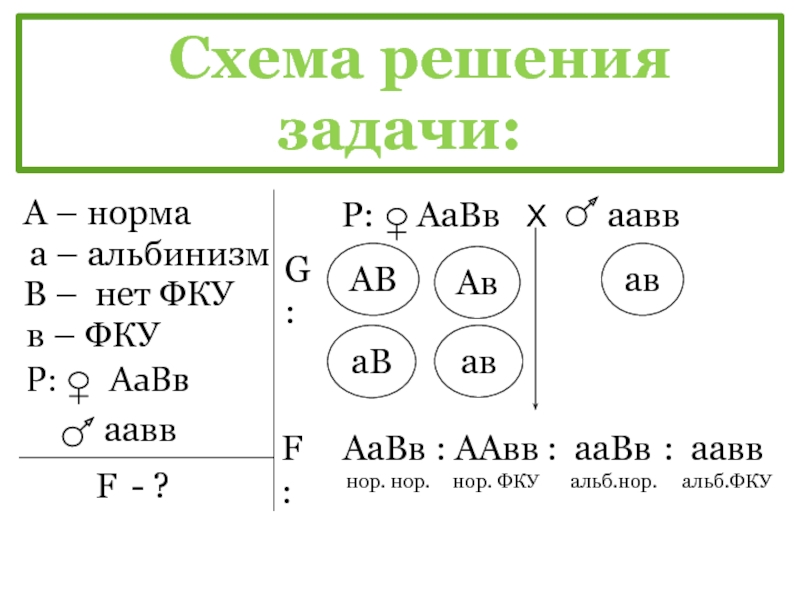 Схема аавв х аавв соответствует скрещиванию