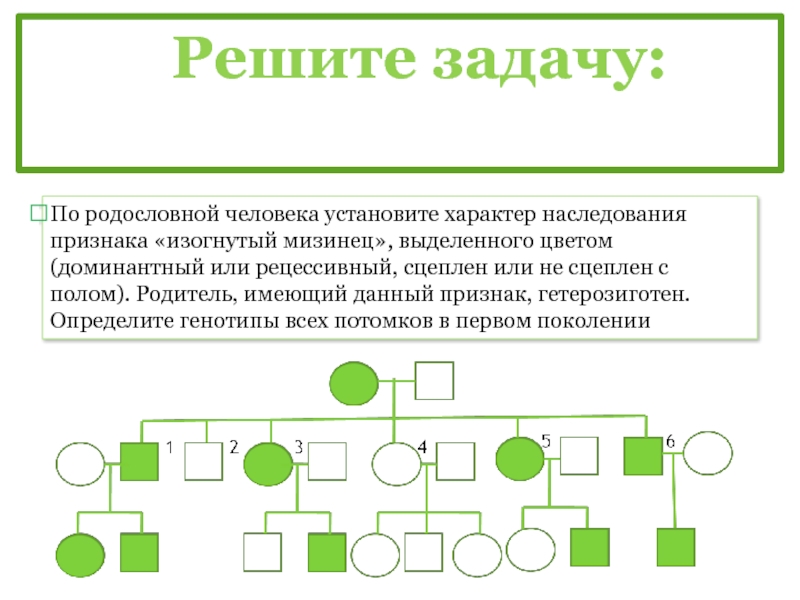 По родословной представленной на рисунке определите характер наследования признака доминантный или